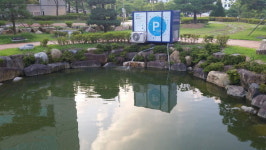 창원 벤처기업, 녹조제거 상용화 기술 개발