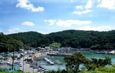 [길예담] (11) 가요 삼포로 가는 길의 진해 삼포