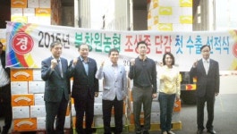 창원단감 80t, 동남아 첫 수출