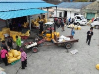 함양농협, 각 지점서 잡곡 전량 수매