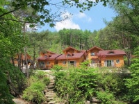 도, 자연휴양림·치유의 숲 12곳 조성