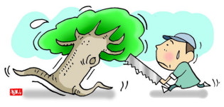 “간판 가린다” 봄철 가로수 민원 증가