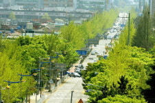 푸르른 창원 도심