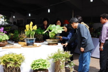 토종 야생화의 봄내음… 산야초 사랑회 제10회 전시회