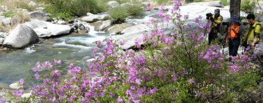 찰칵, 카메라에 담는 월성계곡 비경