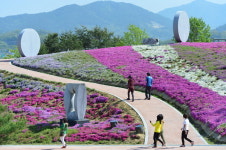 꽃잔디 활짝 핀 조각공원