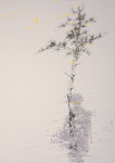 창원 the큰병원숲갤러리
