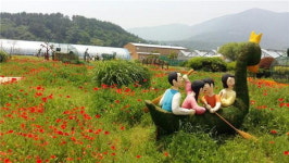거제시농업기술센터 농업개발원 2100㎡에 양귀비·수련 피어 장관