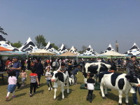 11월 진주농식품박람회서 ‘도심 속 목장 나들이’ 체험