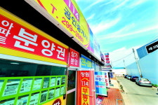 경남 공인중개사 수 최근 16년간 3.6배 증가