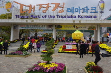 “대장경테마파크 팔만송이 국화향기에 취해볼까”