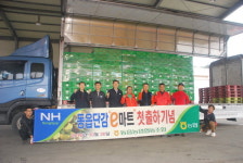 창원 동읍단감, e마트 출하