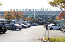 농협 김해농수산물유통센터 특별할인전