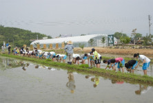 창원 빗돌배기체험마을, 농촌관광활성화 ‘전국 최우수’