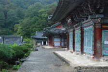 심재근의 우리땅 순례 (121) 산청 (10) 삼장면 방장산 대원사~덕천강 대포숲