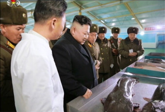 김정은, 국제형사재판소에 회부될까