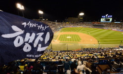 마산구장 시내버스 타고 오면 50% 할인