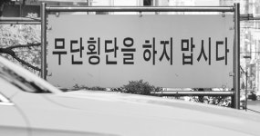 창원병원 인근서 보행자 사망