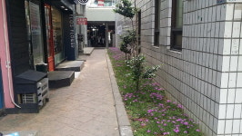 주민 손으로 가꾼 ‘골목골목 꽃 피는 동네’