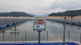 합천댐에 세계 최대 ‘수상태양광 발전’ 추진