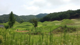 가야역사를 찾아서 (9) 성산가야(星山伽倻)