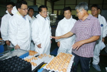 경남도내 산란계 농장 144곳 ‘살충제 계란’ 재검사