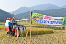 남해 우렁이농법 친환경쌀 나왔어요!