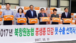 창원 북면 단감, 홍콩 수출