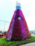 가을축제 앞두고 사천IC 입구 꽃탑 ‘만개’