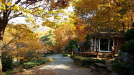 양산 대운산 자연휴양림 ‘새단장’