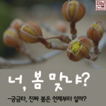 [궁금타] 봄은 언제부터 시작일까