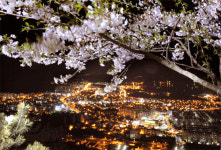 창원 안민고개에 ‘숲속도서관’ 만든다