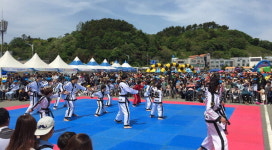 통영시·해양소년단 경남남부연맹, 어린이날 ‘바다축제’
