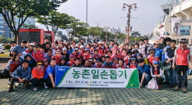 경남농협·양산기장축협, 원동면 매실 따기 ‘구슬땀’