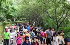 제8회 창원 청량산 건강숲길 걷기대회 성료
