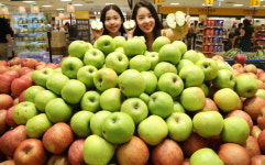 “초록사과 드세요”