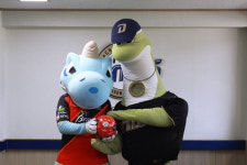 NC 마스코트 단디·쎄리, 오늘 경남FC 경기 응원