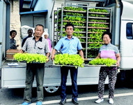 함양 수동농협, 조합원에 배추모종 무상공급