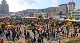 관람객 160만명… 마산가고파국화축제 ‘대박’