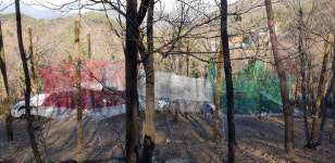 유아·어린이놀이터는 키즈카페뿐? 자연휴양림도 있어요!