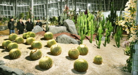 창원수목원, 연말에 만나요