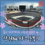 [카드뉴스] 봄이 기다려지는 마산야구센터 창원NC파크