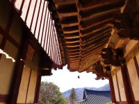 [청춘과 떠나는 우리나라 여행] 전남 순천