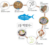 출발!… 경남 수산물축제 릴레이
