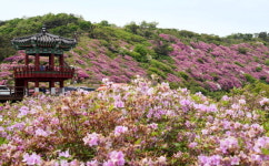 [뭐하꼬] 의령 한우산 도깨비숲 나들이