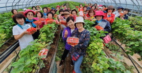 합천애 로컬푸드직매장, 지역축제 연계 소비자 팸투어 ‘호평’
