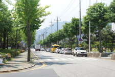 ‘주차장’된 마산 중리공단로 강력 단속