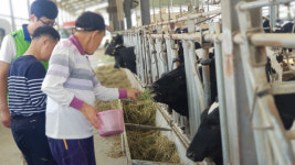 고성군-LH, 천사의집 장애아동과 목장체험