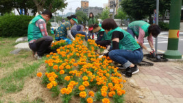 새마을운동합천군지회, 여름 꽃 식재