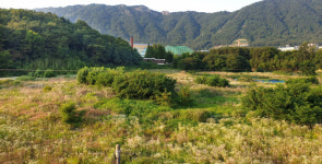 [진단] 용동근린공원 무산 이유는